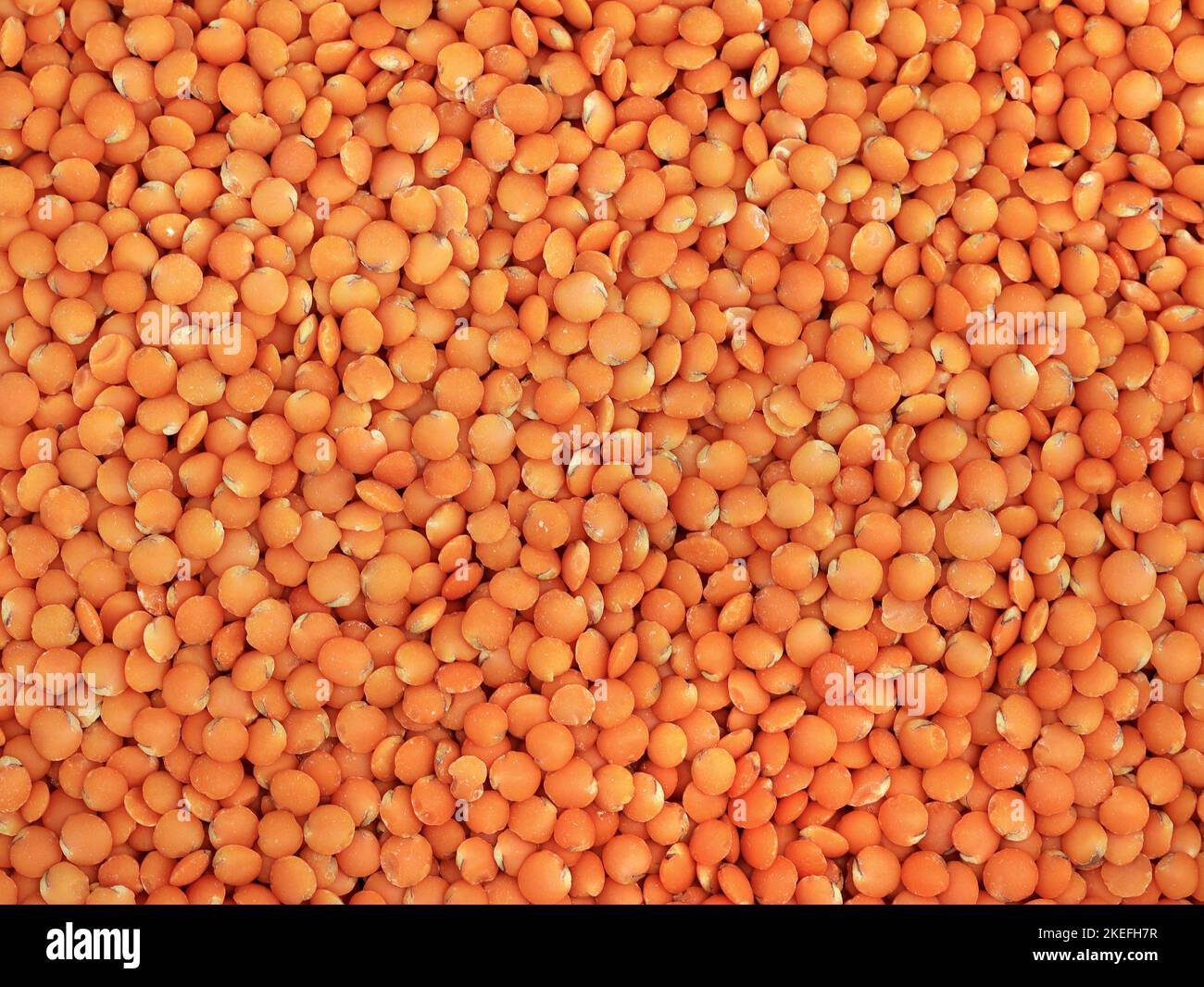 vista dall'alto delle lenticchie rosse crude non cotte come sfondo, sana struttura di cibo all'arancia vegana con alte proteine Foto Stock