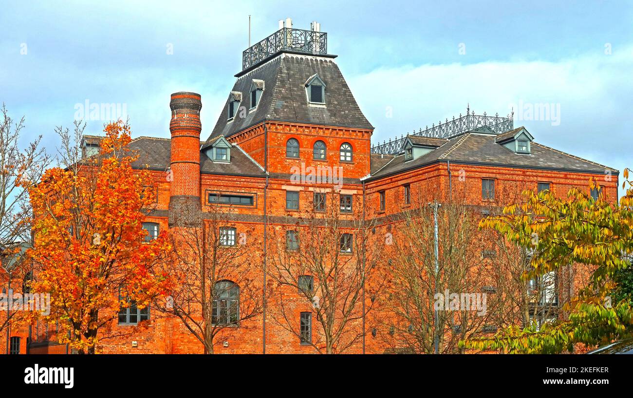 Old Greenall Whitley birreria Wildersool Warrington, Cheshire, Inghilterra, Regno Unito, WA4 Foto Stock