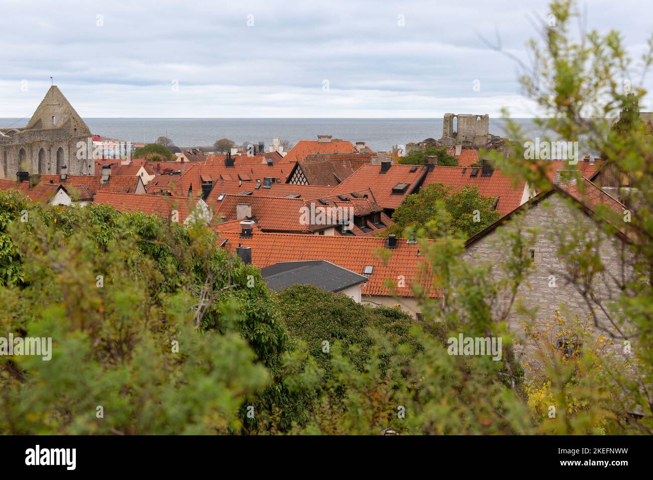 Vista sul tetto della città medievale di Visby, sull'isola di Gotland, Svezia Foto Stock