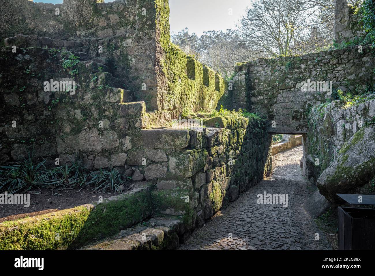 Rovine del castello moresco - Sintra, Portogallo Foto Stock