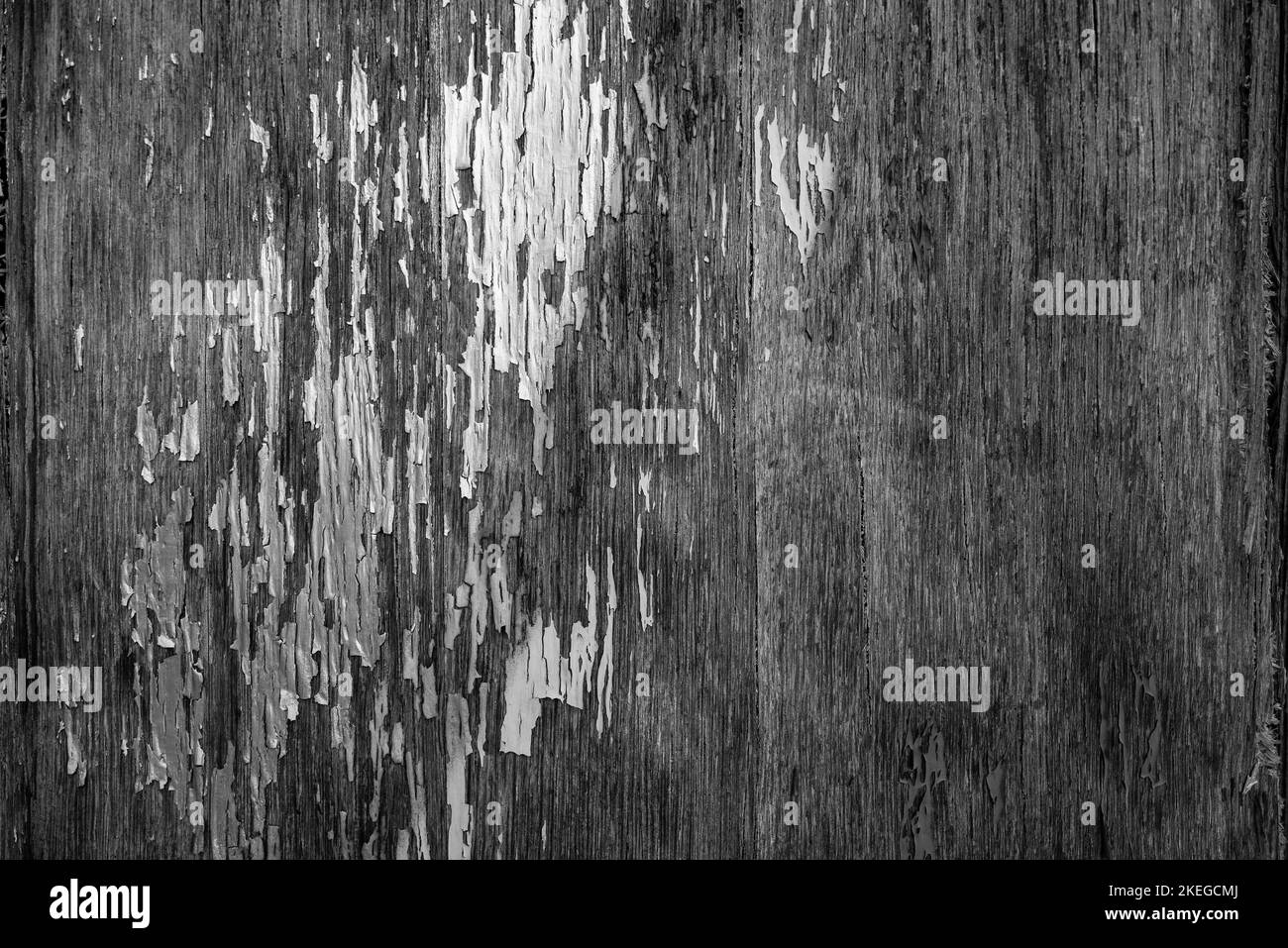Sfondo texture legno. Nero e bianco afflizione sfondo di legno intemperiato Foto Stock