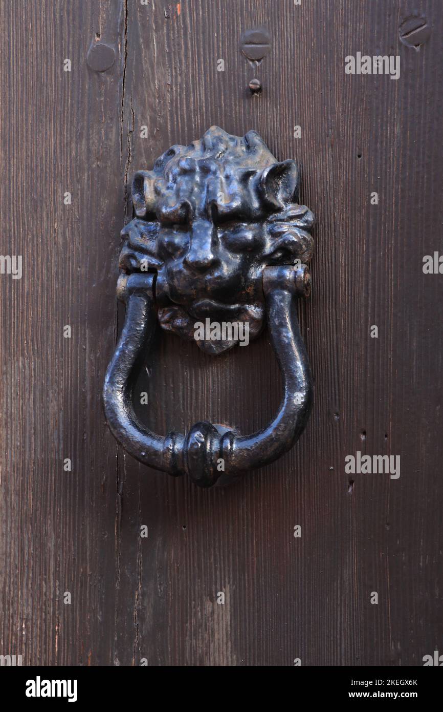 Battente porta Lion. Quarts Regency Lion Head Knocker porta Foto Stock