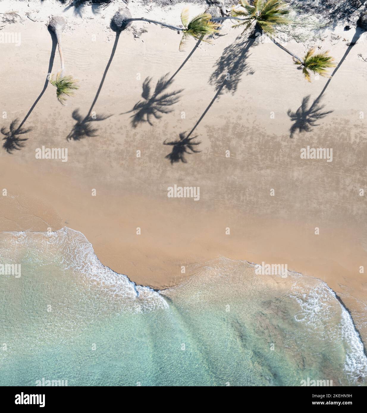 Splendida vista aerea di una spiaggia con palme e acqua blu Foto Stock
