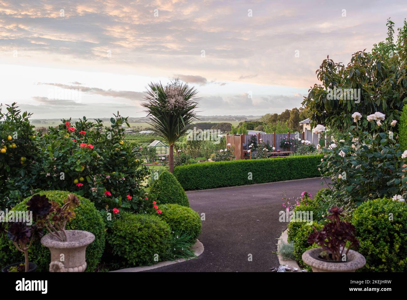 Giardino di casa, Victoria, Australia Foto Stock
