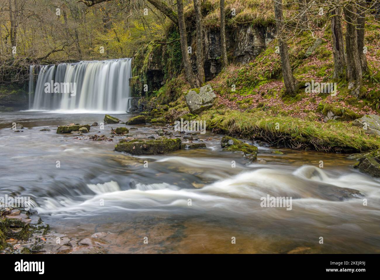 Le alte cascate di Ddwli sul fiume Neath o Afon Nedd alla testa della vale di Neath nel mese di novembre Foto Stock