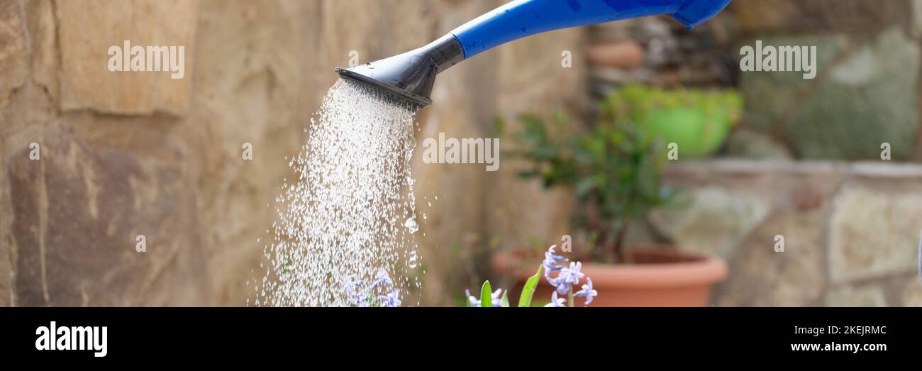 Giardiniere da annaffiatura lattine acque aiuole fiori in giardino giardino giardino giardino giardino chioseup Foto Stock