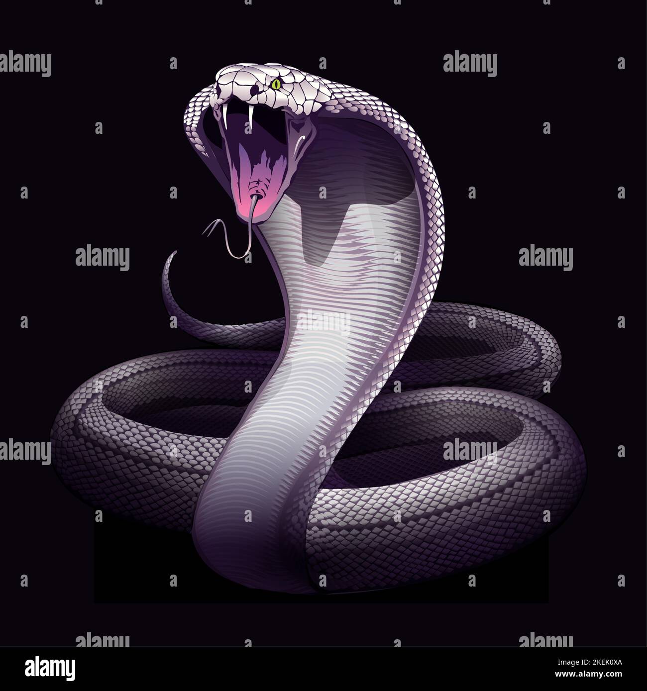 Serpente. Cobra. Illustrazione vettoriale a mano del serpente nella tecnica di incisione isolata su sfondo bianco. Poster occulto, stampa t-shirt, copertina. Illustrazione Vettoriale