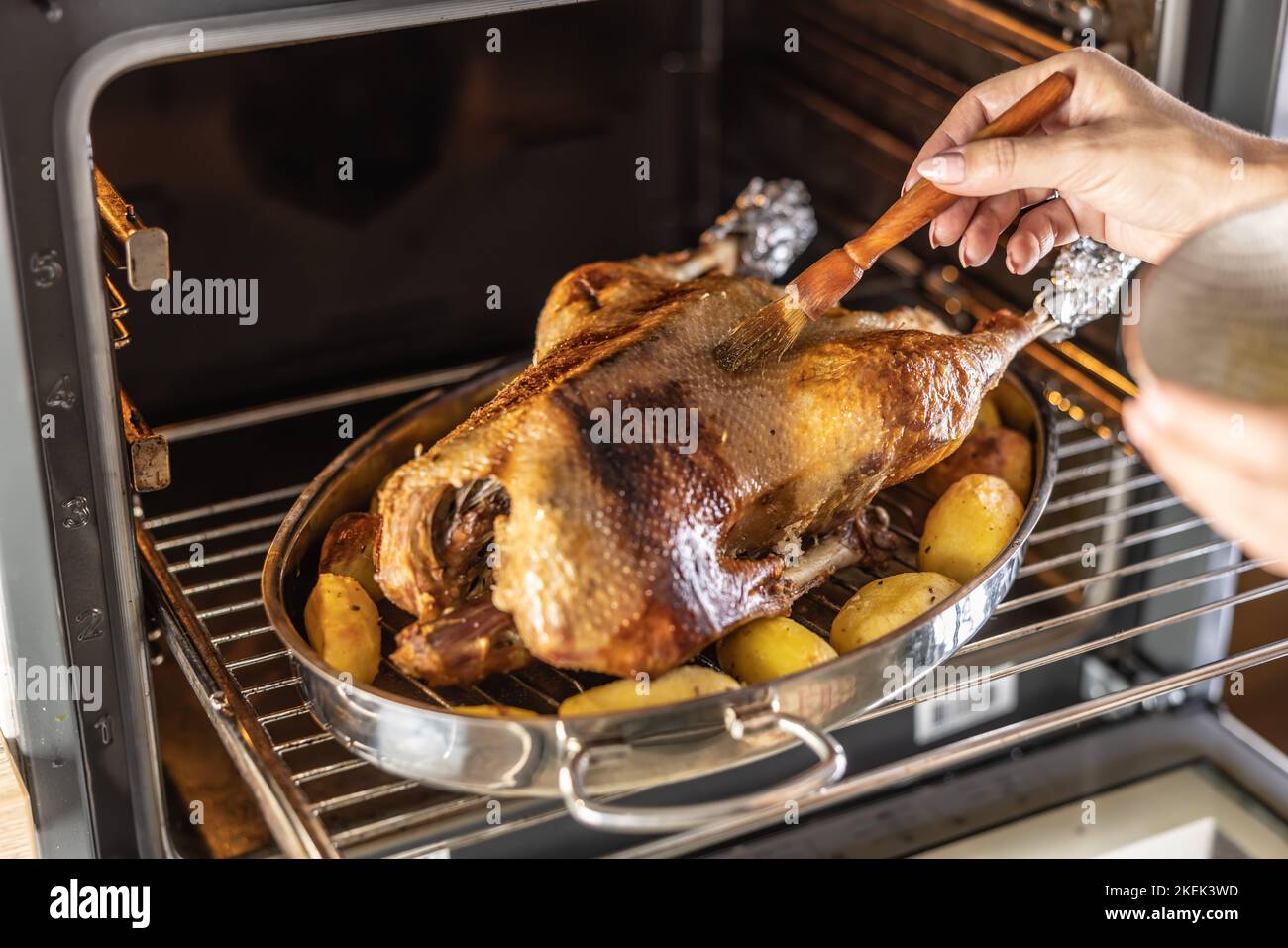 Le mani femminili strofinano il miele su un'oca arrosto prima della tostatura finale. Foto Stock