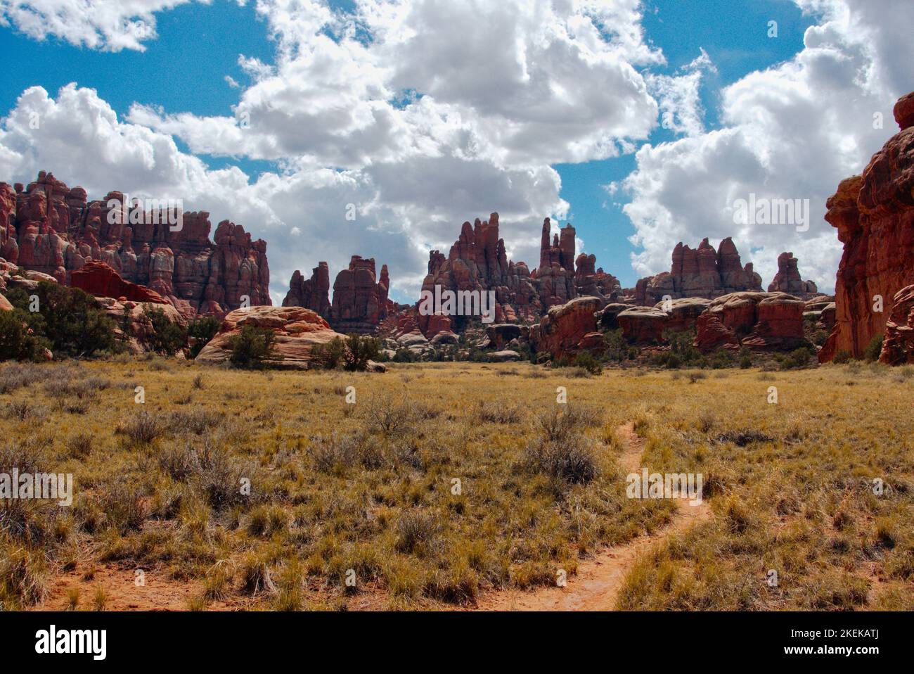 Un sentiero stretto serpeggia attraverso un campo prima di entrare nella Devil's Kitchen nel Canyonlands National Park Foto Stock