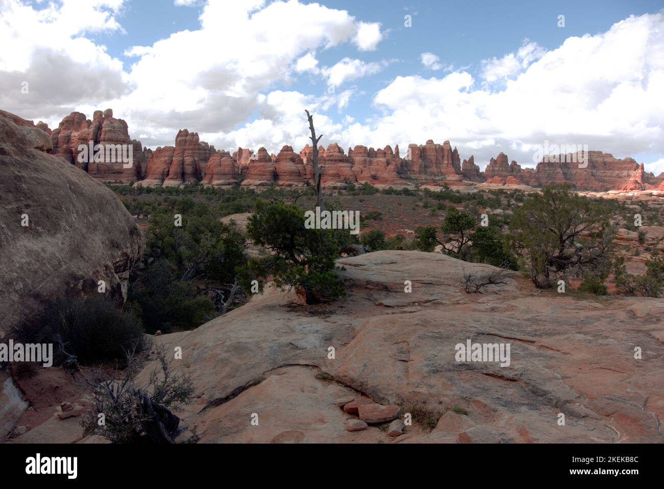 Guardando verso il Parco di Chesler da Elephant Hill nel Parco Nazionale di Canyonlands Foto Stock