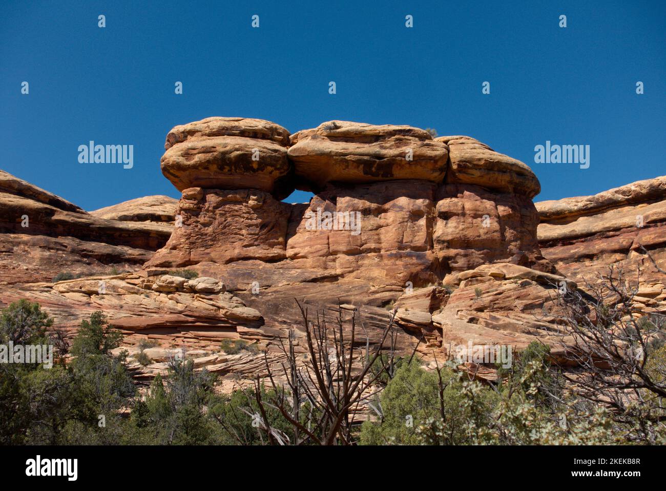 Una piccola finestra ad arco in Squaw Canyon: Canyonlands National Park Foto Stock