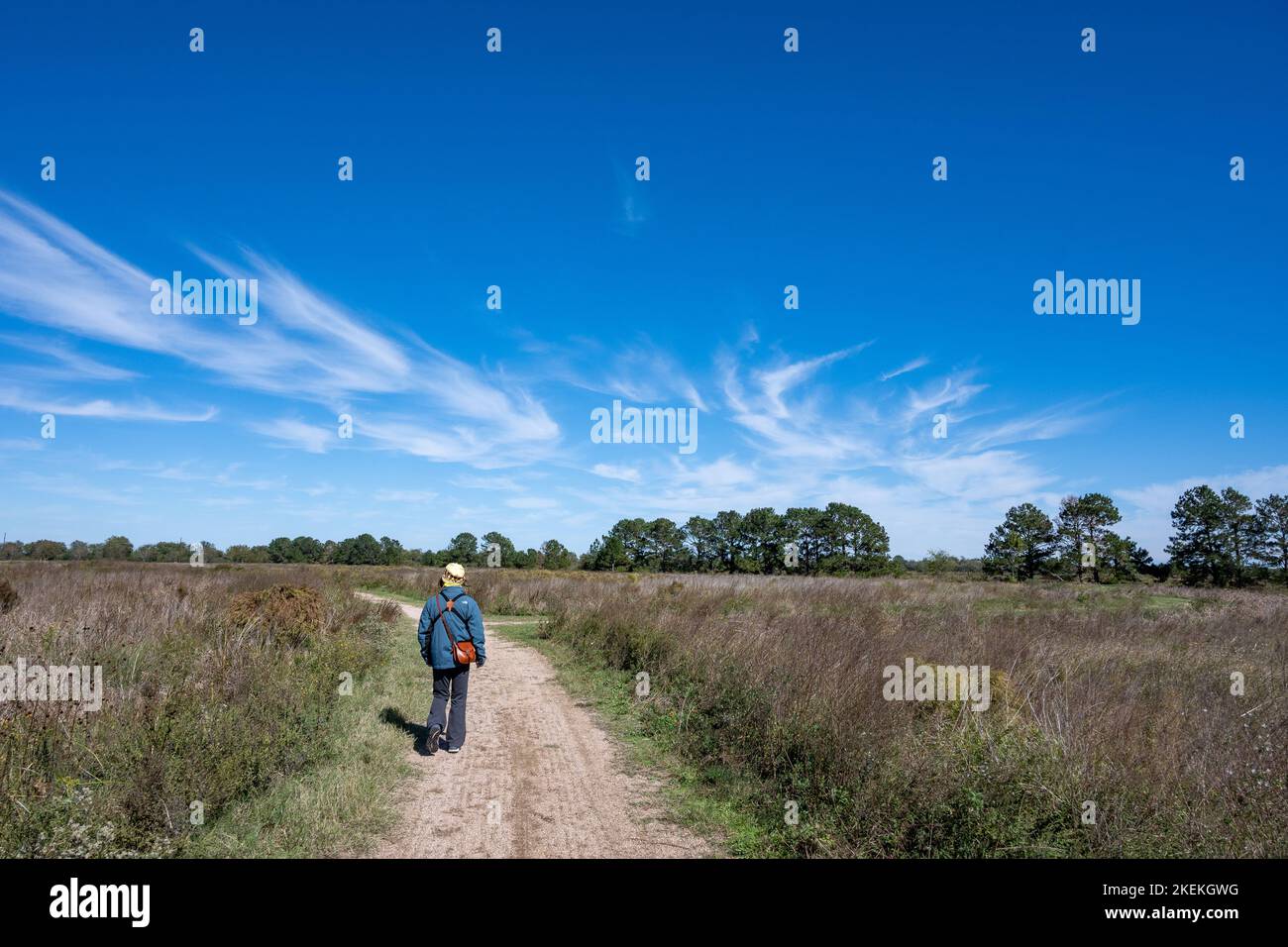 Posizione Una donna che cammina sul sentiero presso la riserva naturale Katy Prairie Conservancy Indiangrass. Houston, Texas, Stati Uniti. Foto Stock