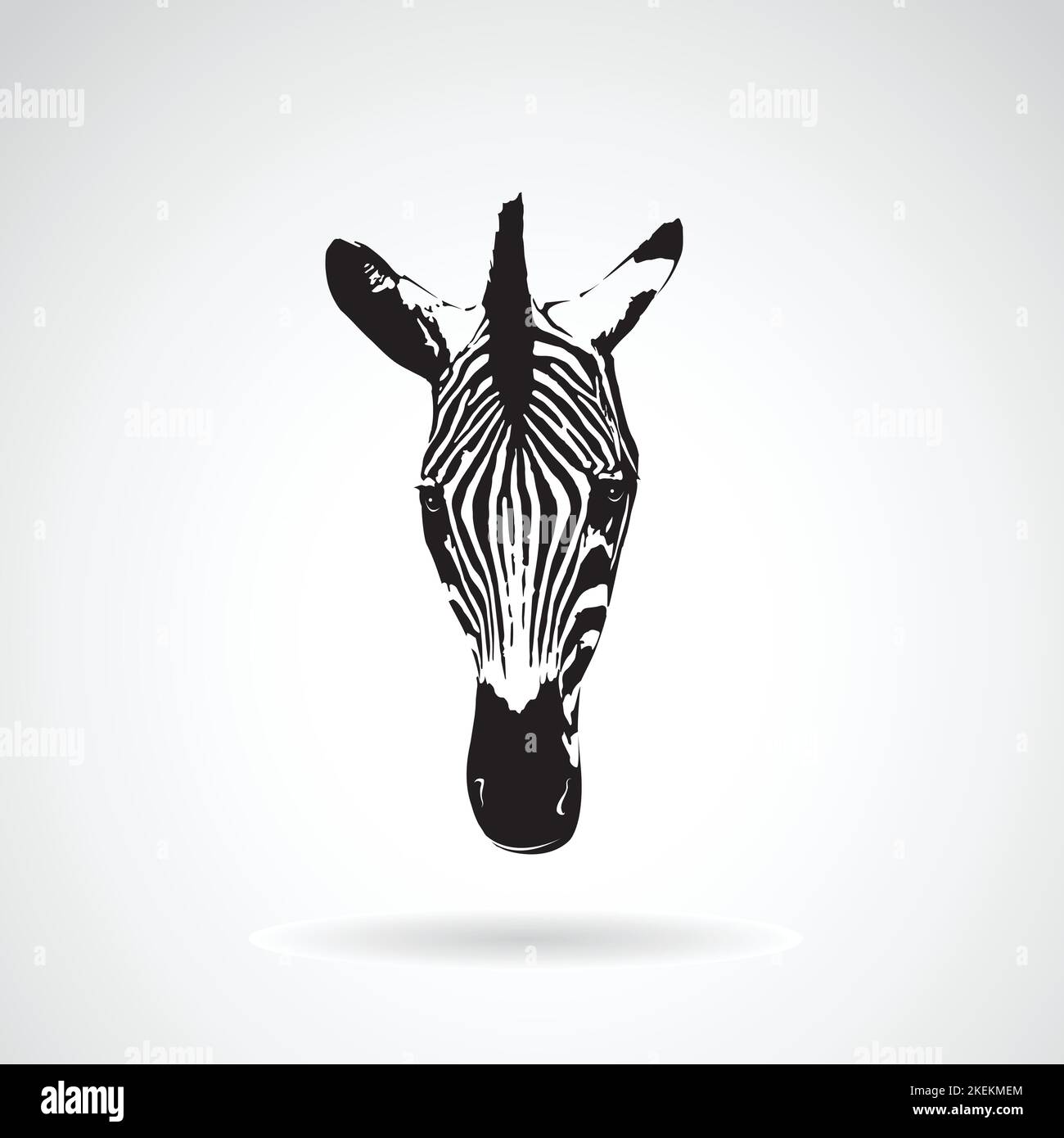 Vettore di un volto zebra su sfondo bianco. Animali selvatici. Illustrazione vettoriale a strati facilmente modificabile. Animali. Illustrazione Vettoriale