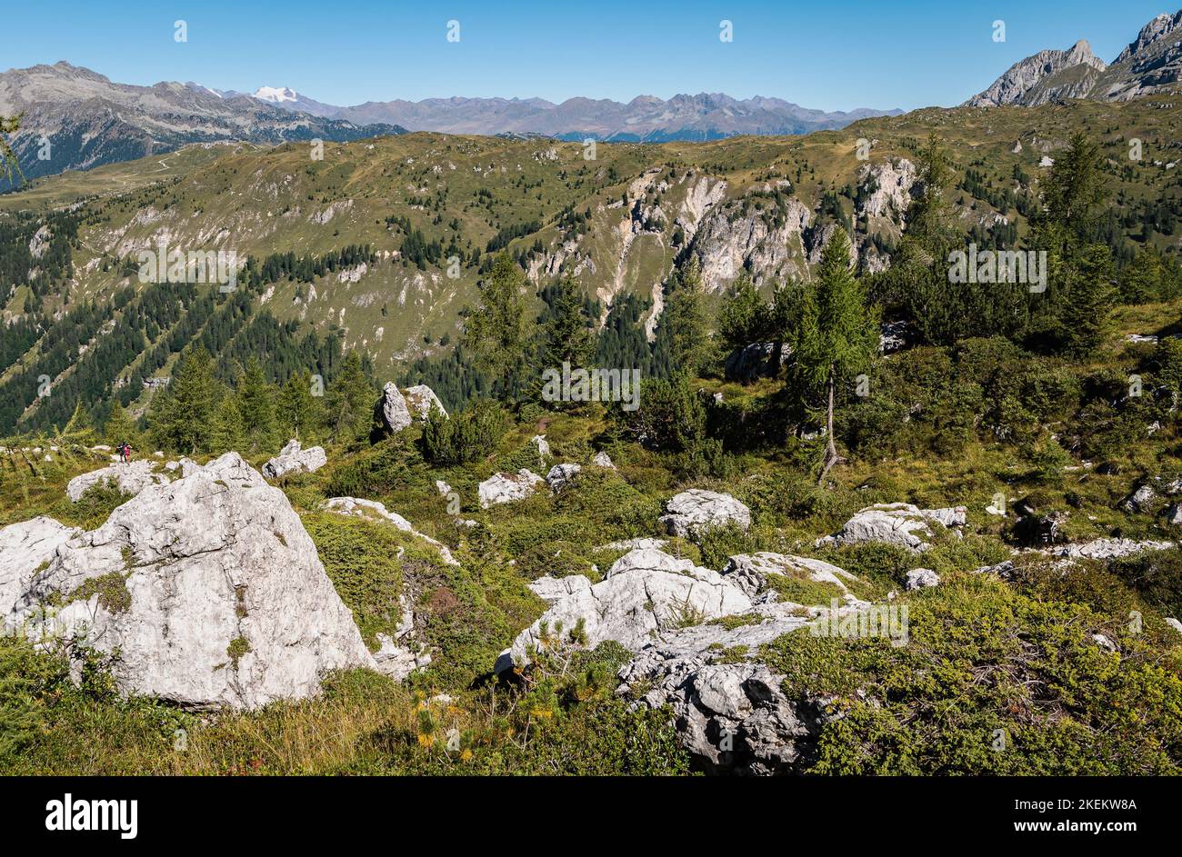 Paesaggio montano in estate nelle Dolomiti occidentali (Dolomiti di Brenta) - Vallesinella - Madonna di Campiglio, Trentino Alto Adige, Italia settentrionale Foto Stock