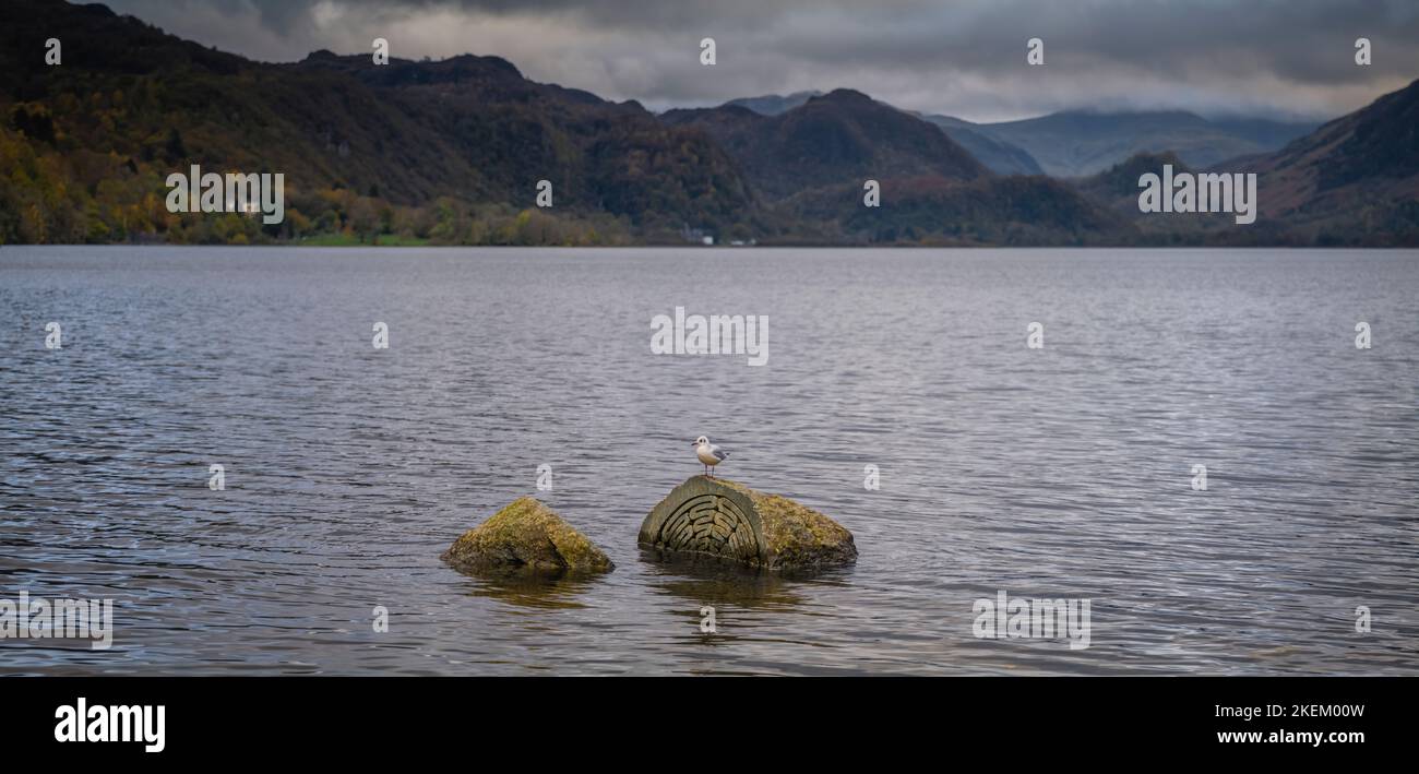 Scultura in pietre centenarie a Calfclose Bay, Derwentwater, English Lake District. L'intaglio celebra il centenario del National Trust. Foto Stock