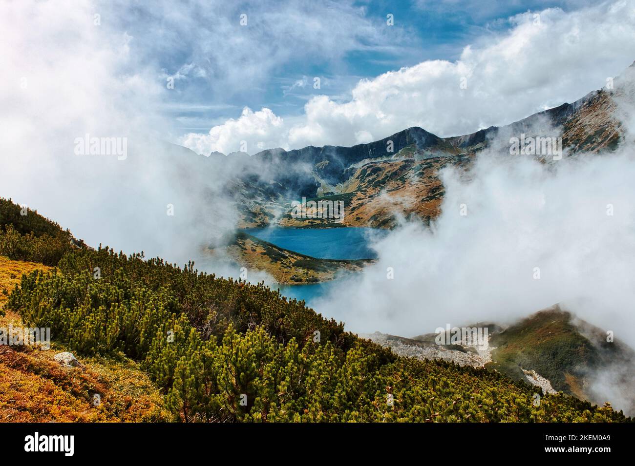 Laghi di montagna blu con riflessione nel parco nazionale di Tatra cinque valle del lago circondata da nebbia pesante, cime di montagna e pini nani in Polonia Foto Stock