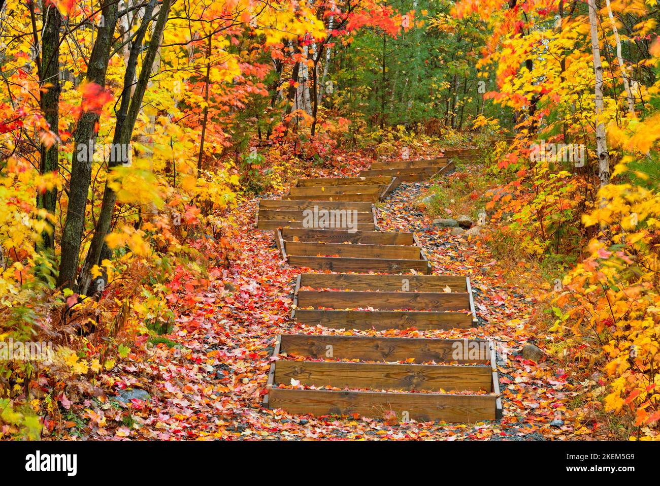 Autunno lungo il Trans Canada Trail presso la Lake Laurentian Conservation Area, Greater Sudbury, Ontario, Canada Foto Stock