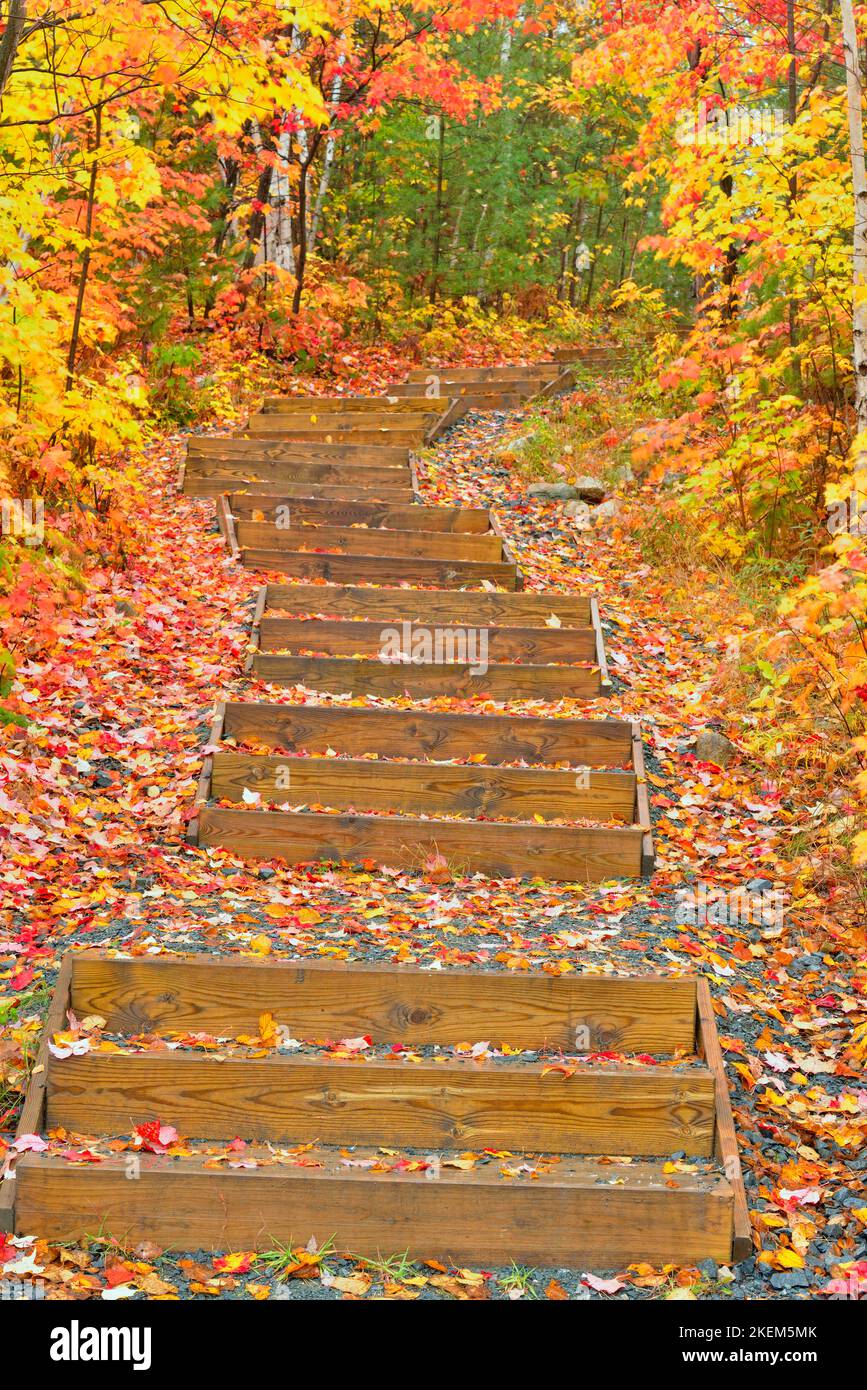 Autunno lungo il Trans Canada Trail presso la Lake Laurentian Conservation Area, Greater Sudbury, Ontario, Canada Foto Stock