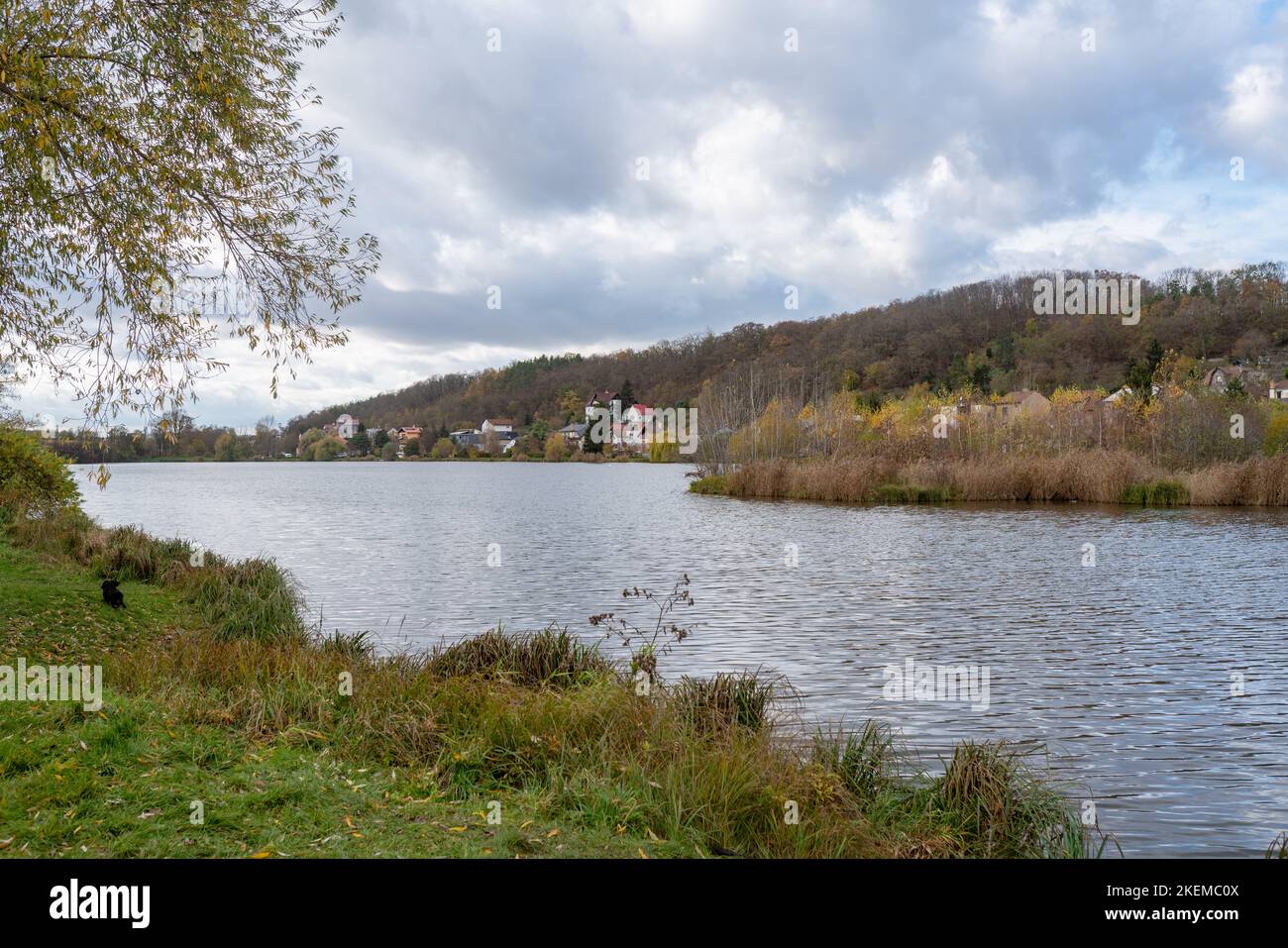 'Kyjský rybník' stagno sul ruscello Rokytka a Praga-Kyje, fondata nel 14th ° secolo per i mulini e la pesca. Vista generale sull'acqua verso Aloisov. Foto Stock