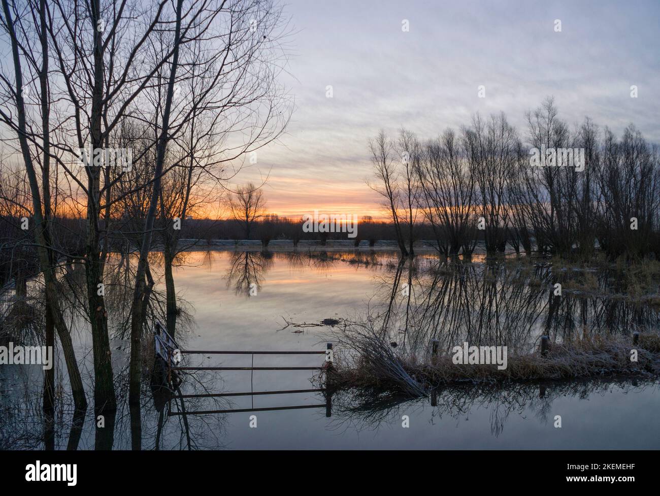 Acqua alta nella pianura alluvionale dal fiume Merwede Foto Stock
