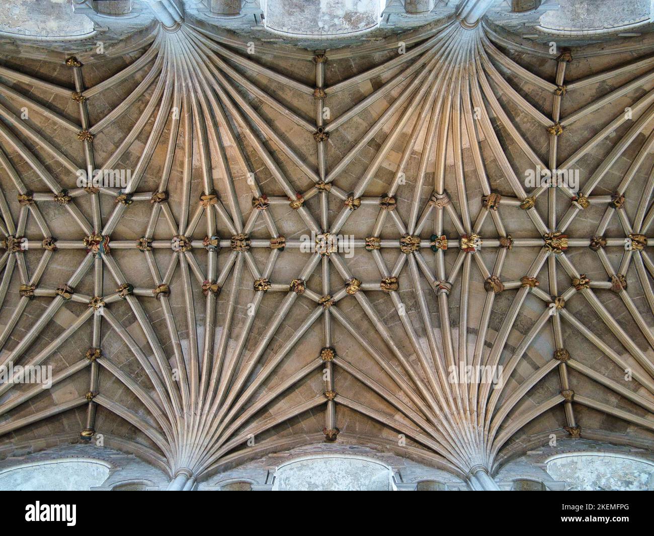 Il dettaglio simmetrico del soffitto a volta e dei boss ornati nella Cattedrale di Norwich, Norfolk, Regno Unito Foto Stock