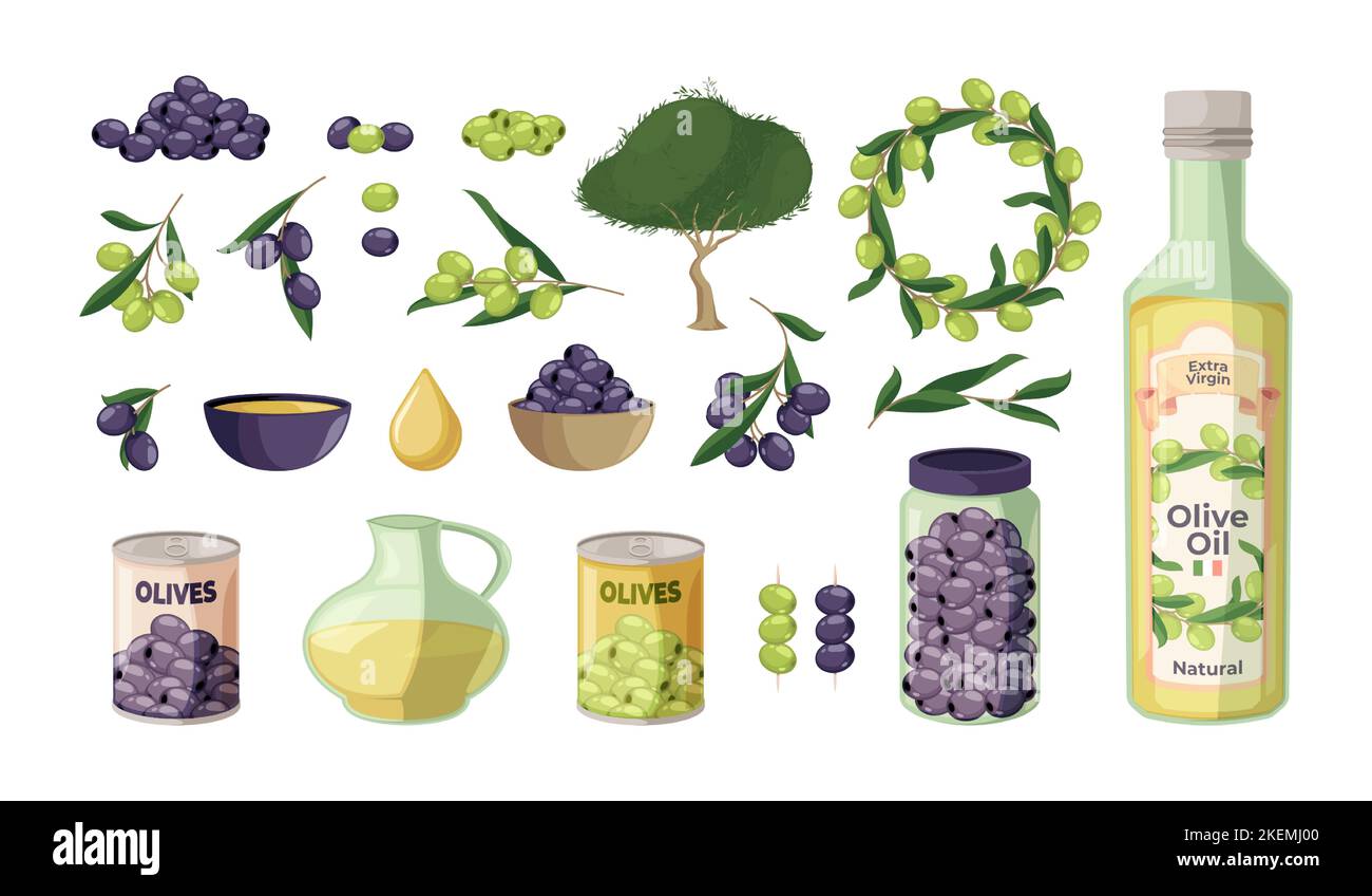 Olio d'oliva. Prodotti biologici naturali mediterranei bottiglie, frutta verde in scatola sottaceto interi e senza pietre concetto di cucina sana. Set vettoriale di olio oliva mediterraneo illustrazione Illustrazione Vettoriale