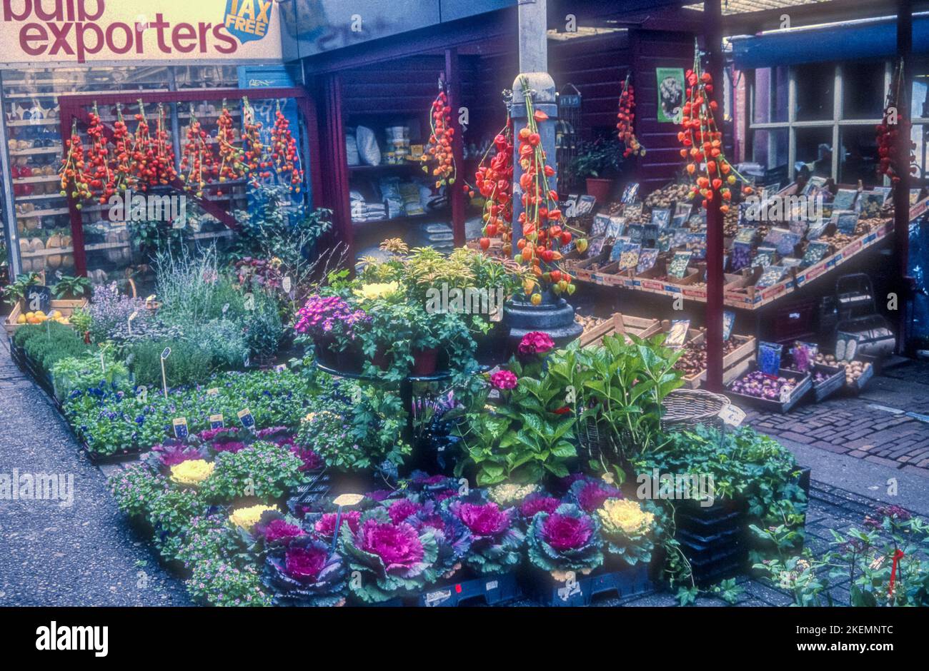 Archivio 1990s Fotografia di un mercato di fiori a Rokin, Amsterdam. Foto Stock