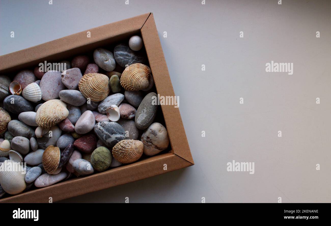 Pebbie e conchiglie colorate in una confezione regalo su un lato dell'immagine. Concetto per cartolina o sfondo Foto Stock