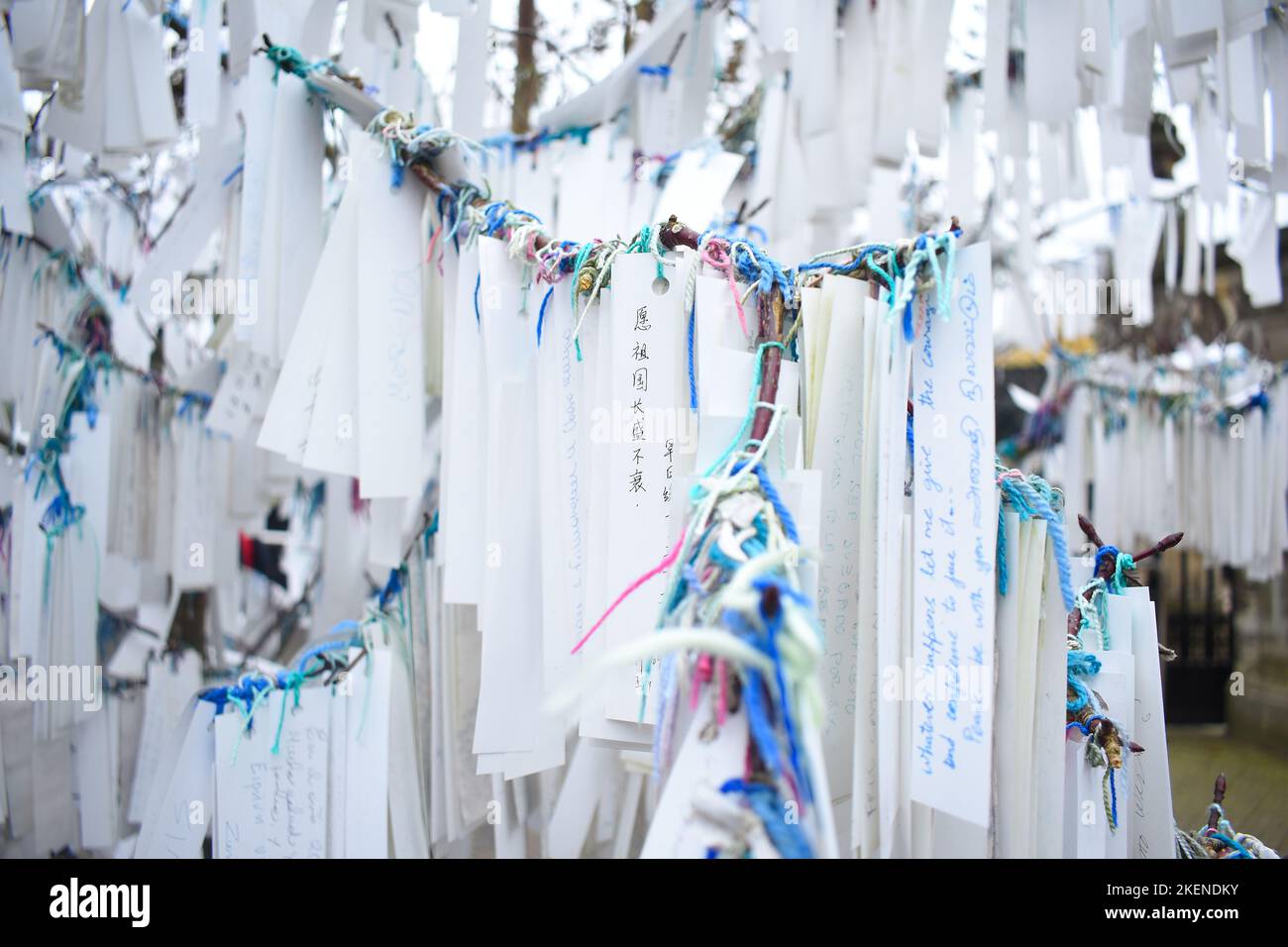 Albero di auguri in inverno al Palazzo della Pace, l'Aia Foto Stock
