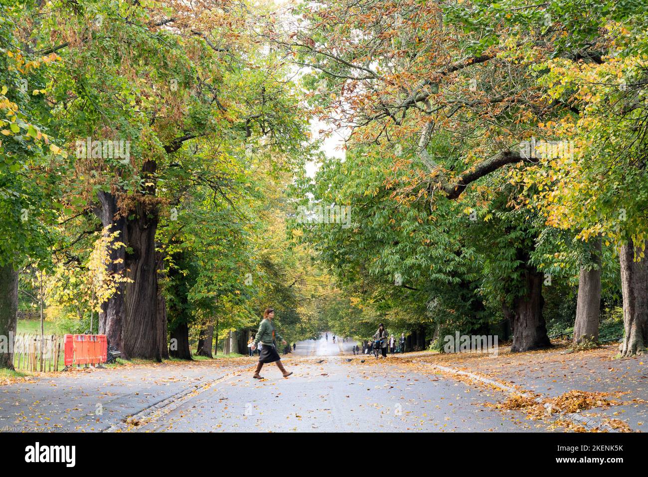 Colori autunnali a Greenwich Park Londra Inghilterra Regno Unito Foto Stock