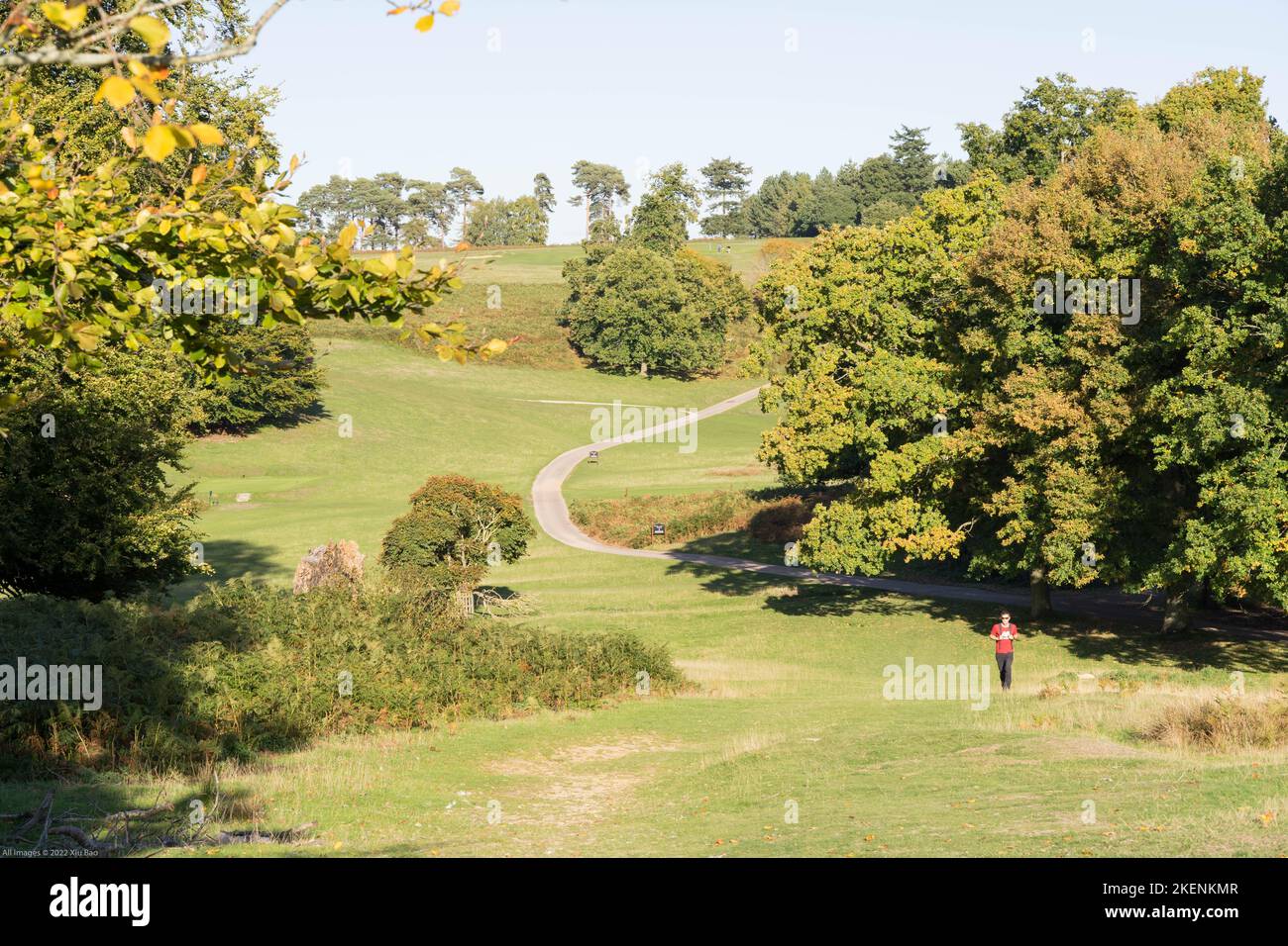 Un uomo che fa una passeggiata a Knole Park nel giorno autunnale del sole, Kent, Inghilterra Foto Stock