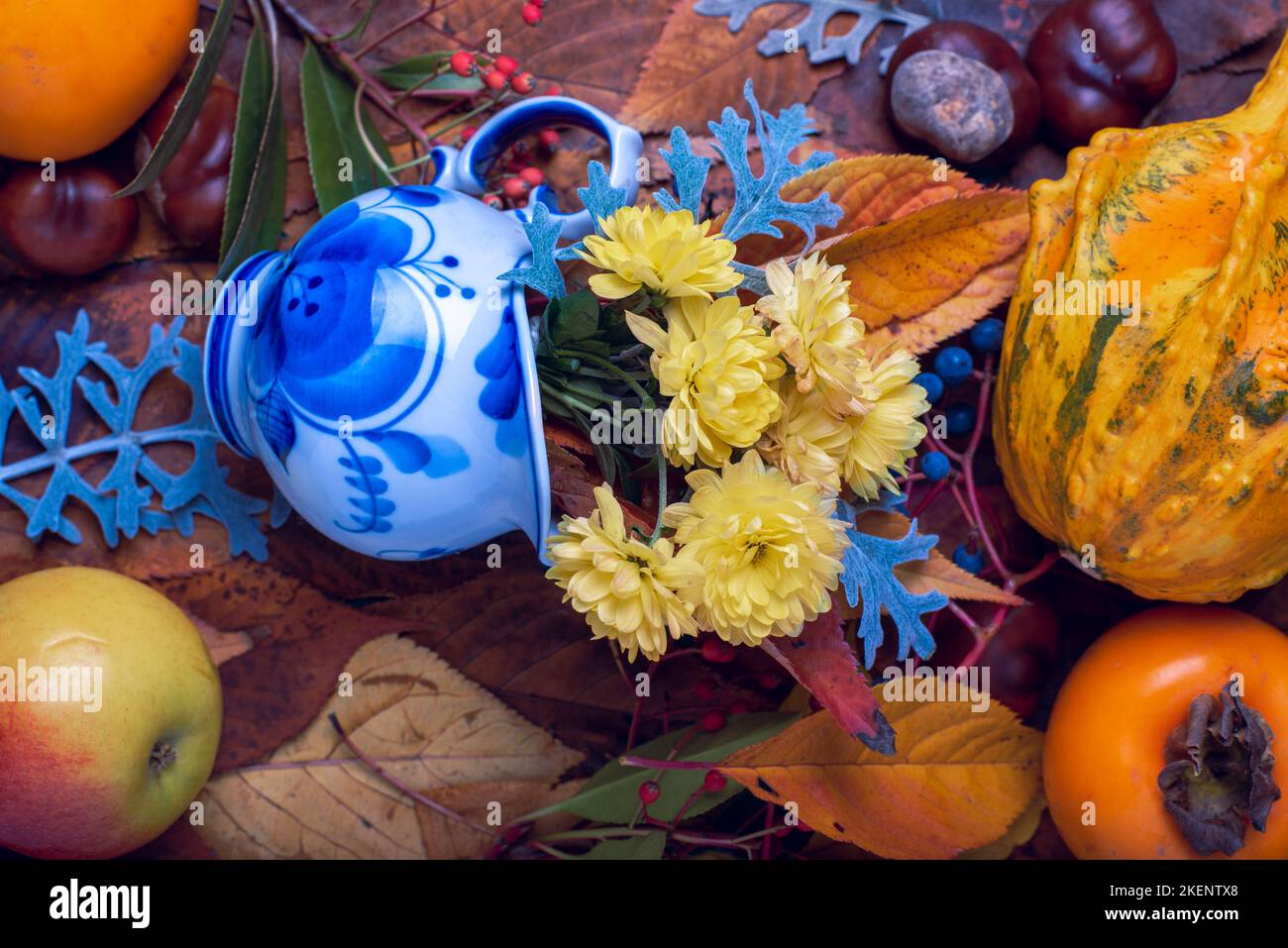 Sfondo. Decorazione autunnale sfondo con crisanthenum, castagno, frutti rossi e blu, piccolo giaghettino blu sulle foglie. Foto Stock