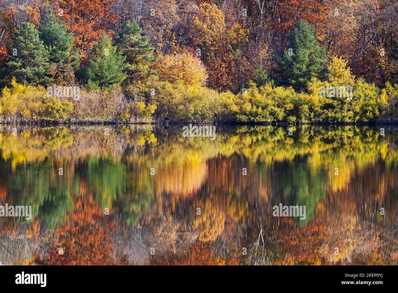 Refrigeratori autunnali nel parco nazionale di Oka, Canada Foto Stock