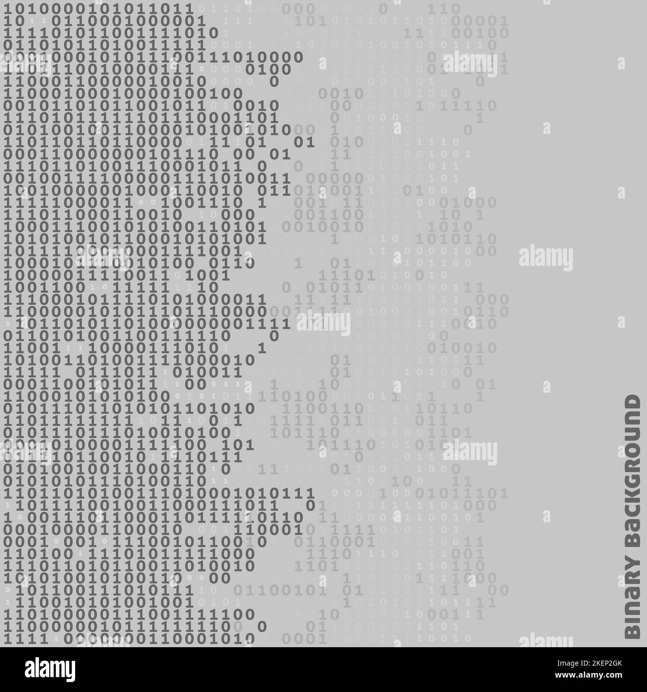 Codice binario. Trasferimento dei dati in formato digitale. Sfondo grafico vettoriale grigio Illustrazione Vettoriale