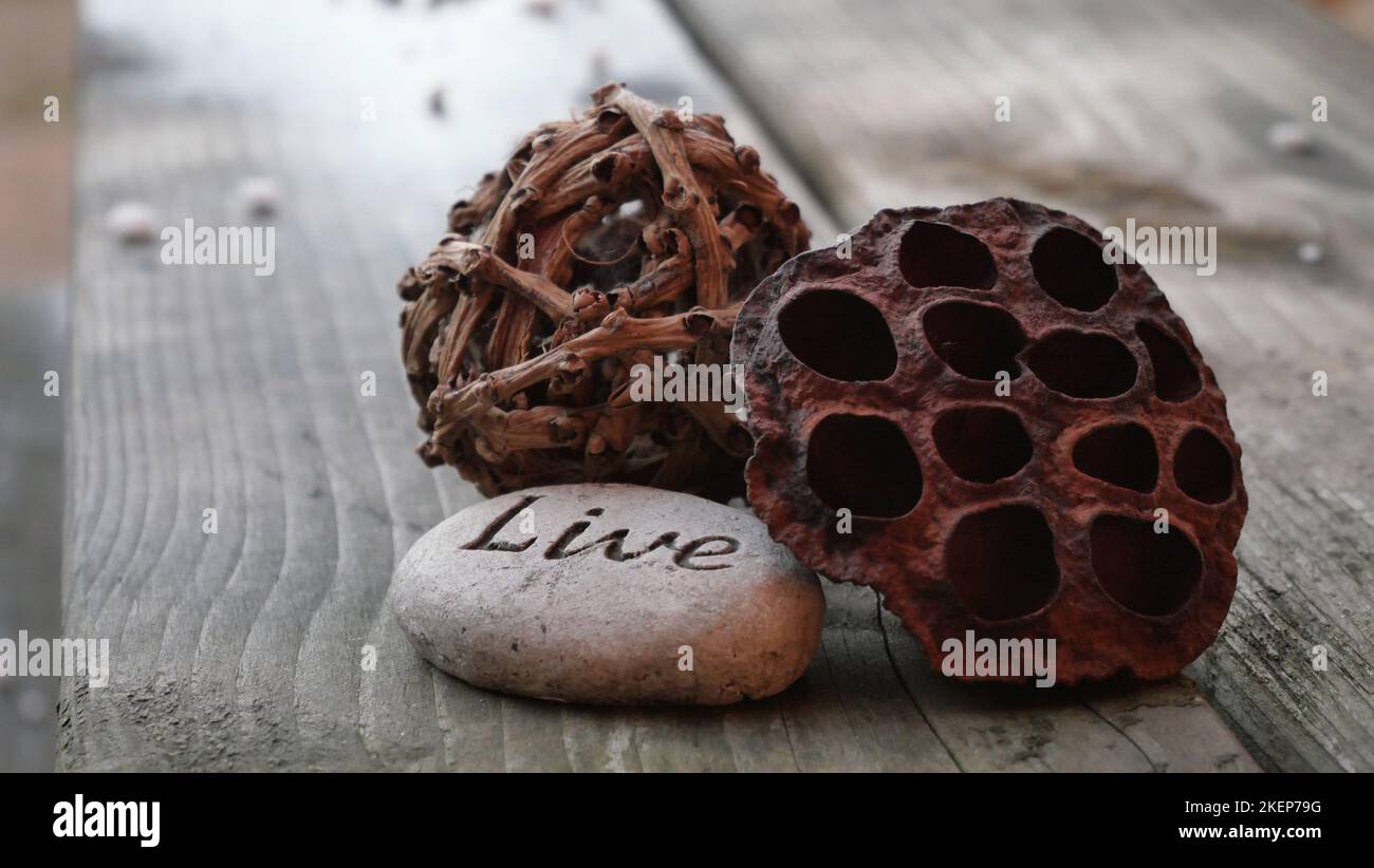 Ispirazione dal vivo scritta su un ciottolo decorativo Foto Stock