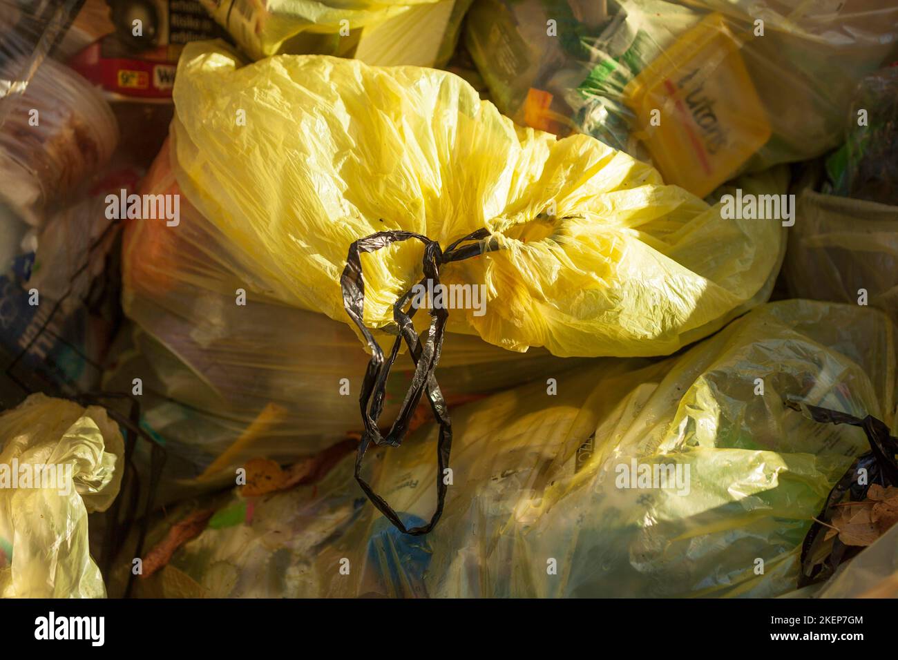 Sacchetto giallo per rifiuti in plastica, Germania Foto stock - Alamy