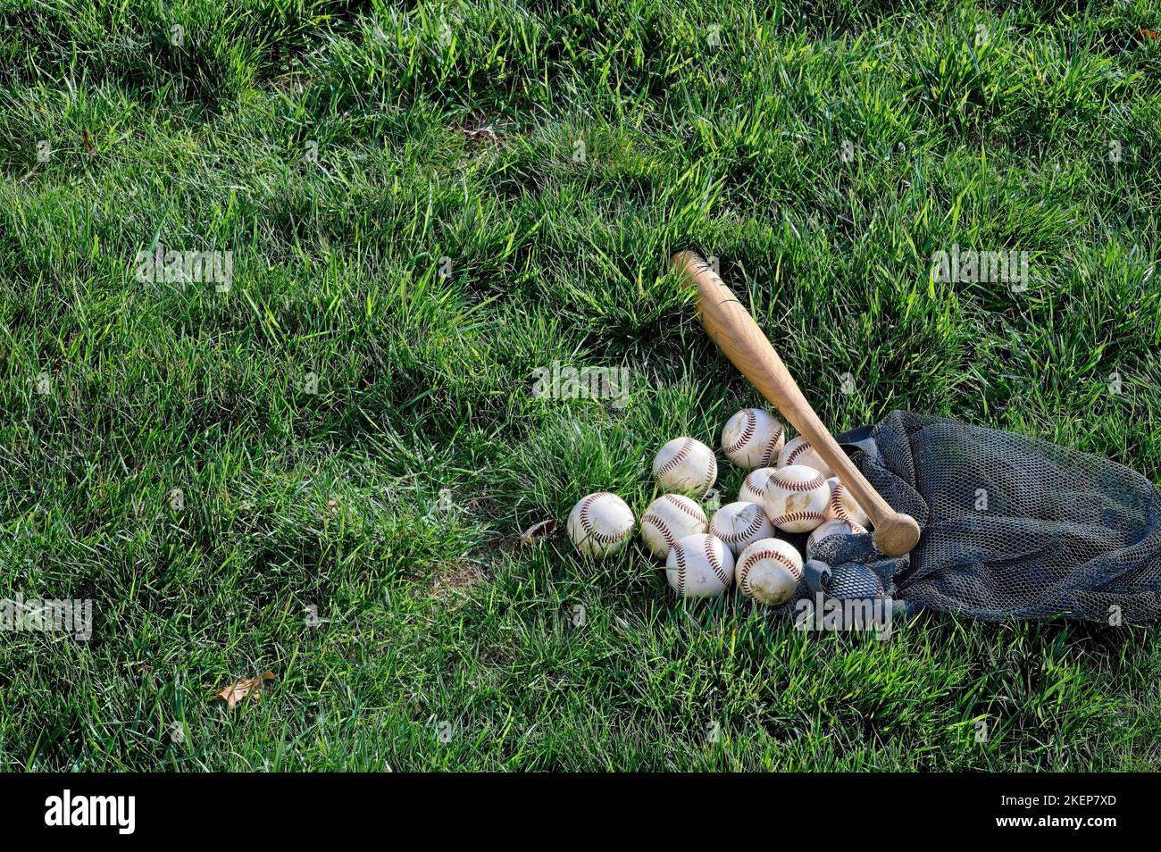 Palle di baseball e un pipistrello nell'erba Foto Stock