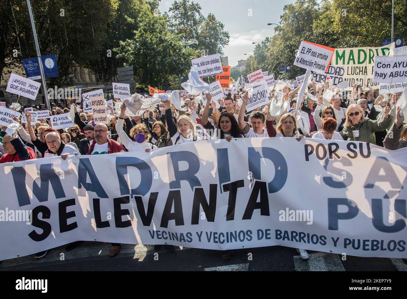 Madrid, Madrid, Spagna. 13th Nov 2022. Centinaia di migliaia di persone hanno marciato a Madrid domenica 13 novembre, per ottenere miglioramenti della salute pubblica e contro la spinta del governo regionale verso i piani di riforma. I partecipanti, sostenuti dai sindacati e dai partiti di opposizione, hanno chiesto qualità, assistenza sanitaria universale. (Credit Image: © Alberto Sibaja/Pacific Press via ZUMA Press Wire) Foto Stock