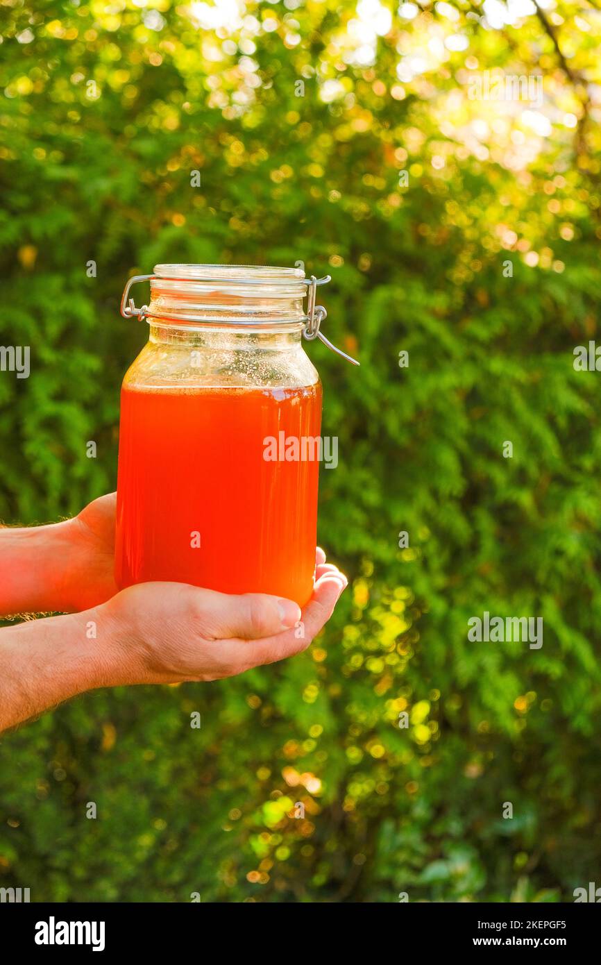 Miele jar. Prodotti naturali di apicoltura. Miele sano naturale di sweetness.Organic g. Foto Stock