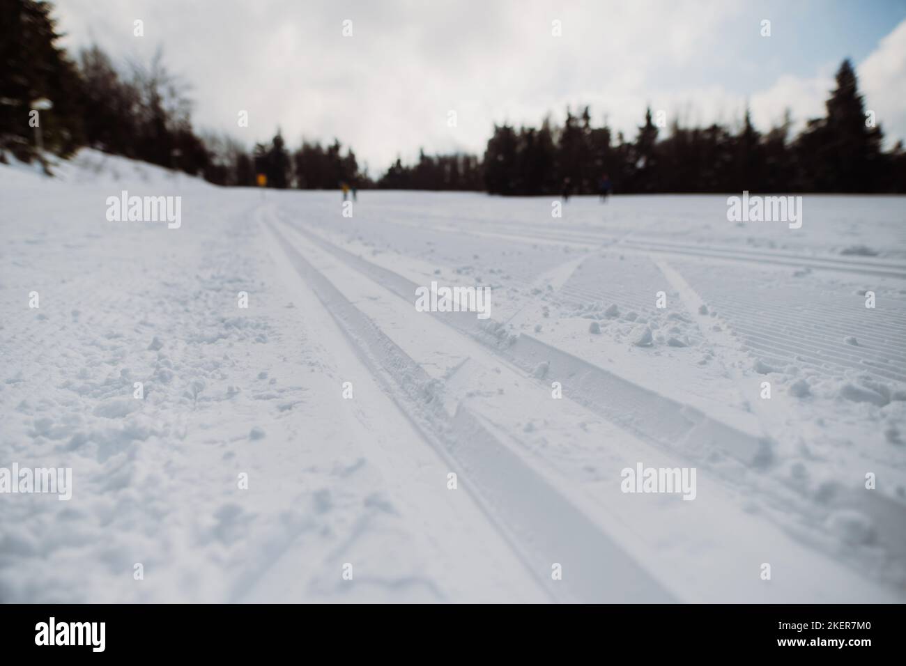 Primo piano di neve fresca sulla pista da sci di fondo. Foto Stock