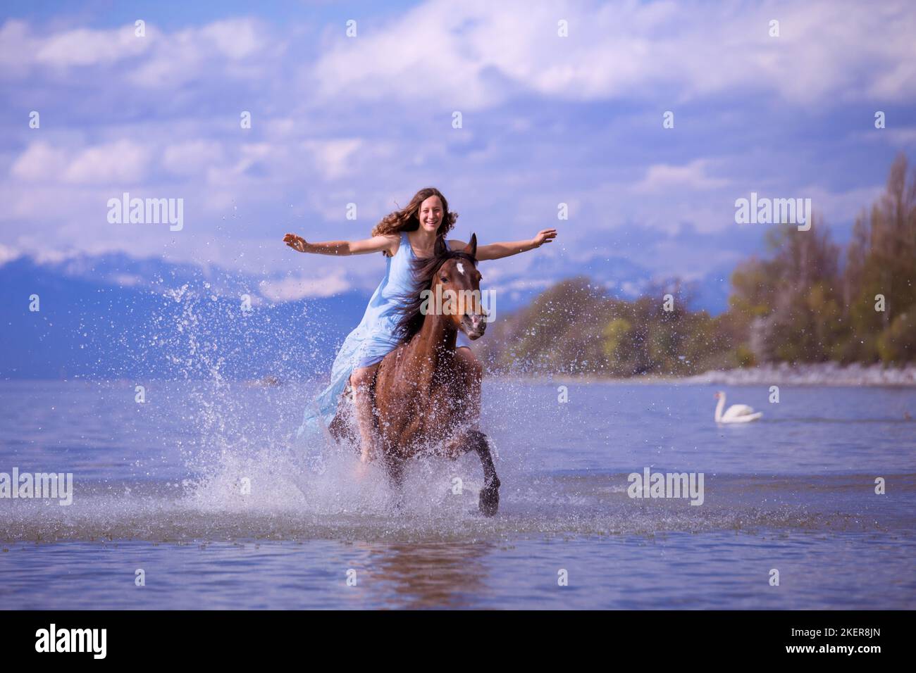 Donna e Cavallo andaluso Foto Stock