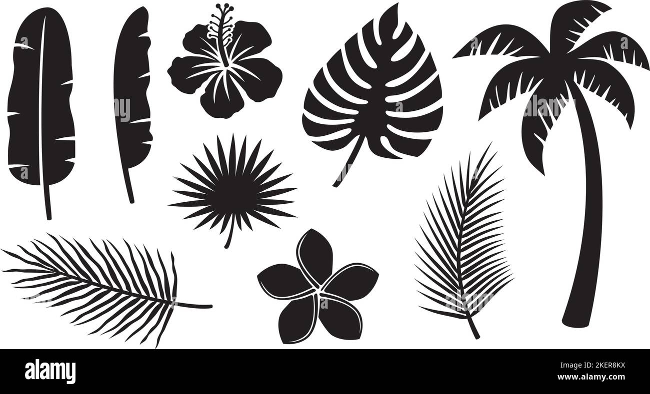 Collezione di icone di piante tropicali (Hibiscus, foglia di banana, palma, Monstera, Fiore di Frangipani). Illustrazione vettoriale. Illustrazione Vettoriale
