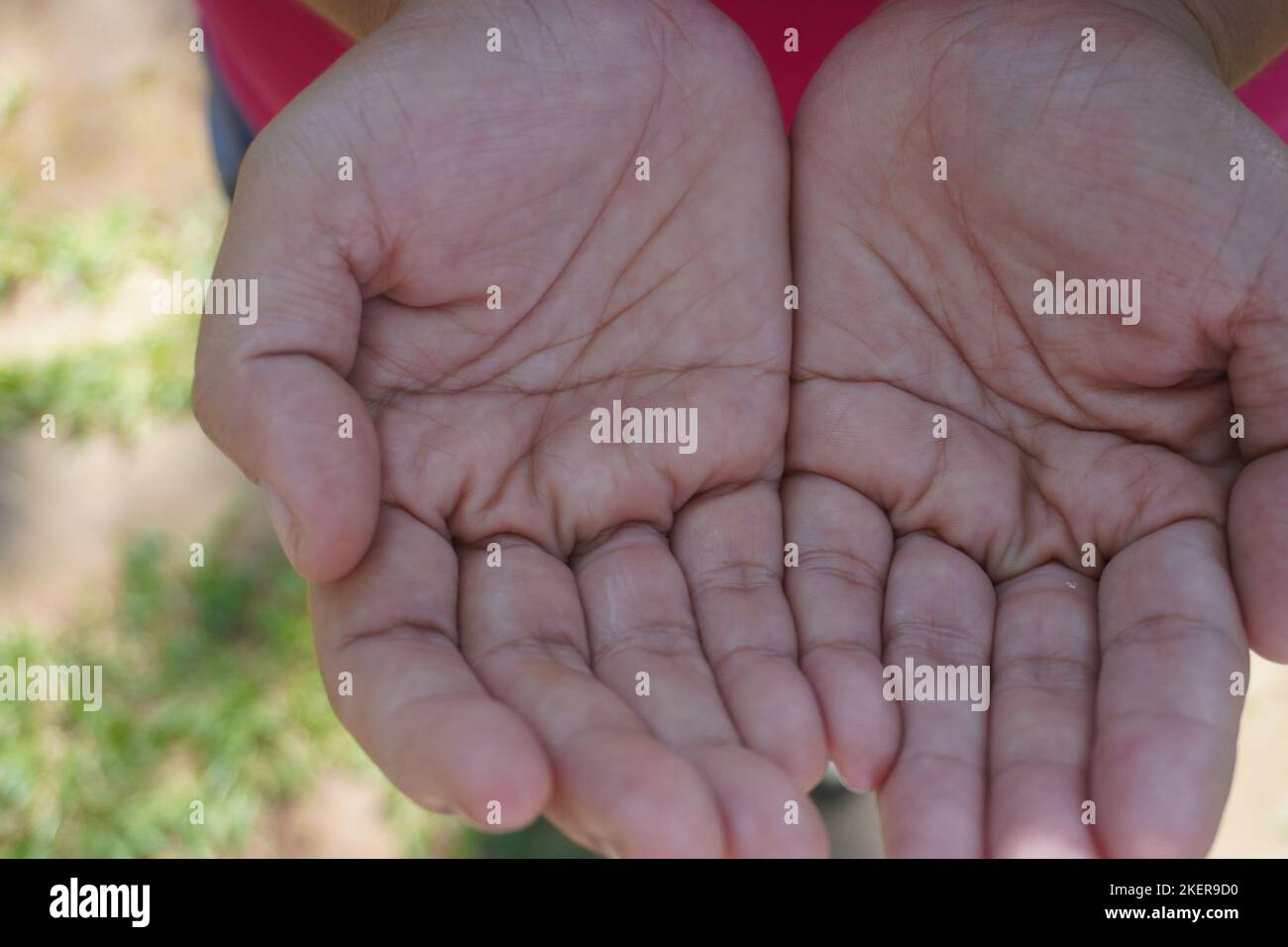 Primo piano unendo le palme di due donne rivolte verso l'alto. pregare la mano nella natura di bellezza sotto la luce del sole Foto Stock