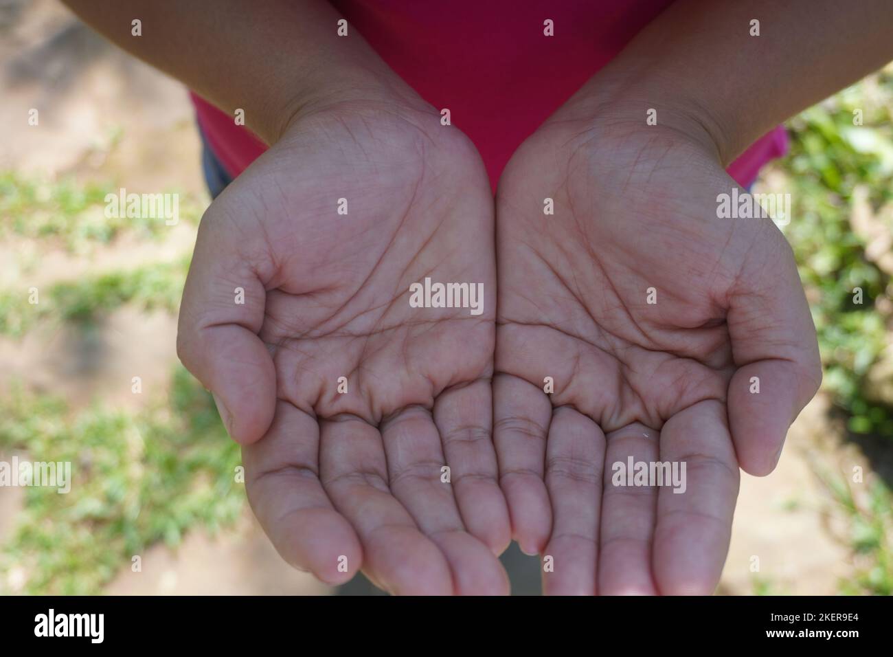 Primo piano unendo le palme di due donne rivolte verso l'alto. pregare la mano nella natura di bellezza sotto la luce del sole Foto Stock