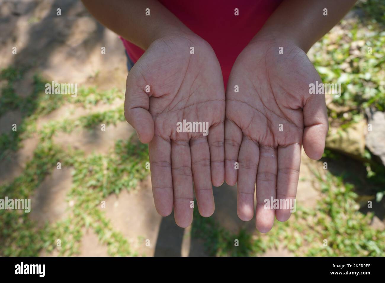 Primo piano unendo le palme di due donne rivolte verso l'alto. pregare la mano nella natura di bellezza sotto la luce del sole Foto Stock