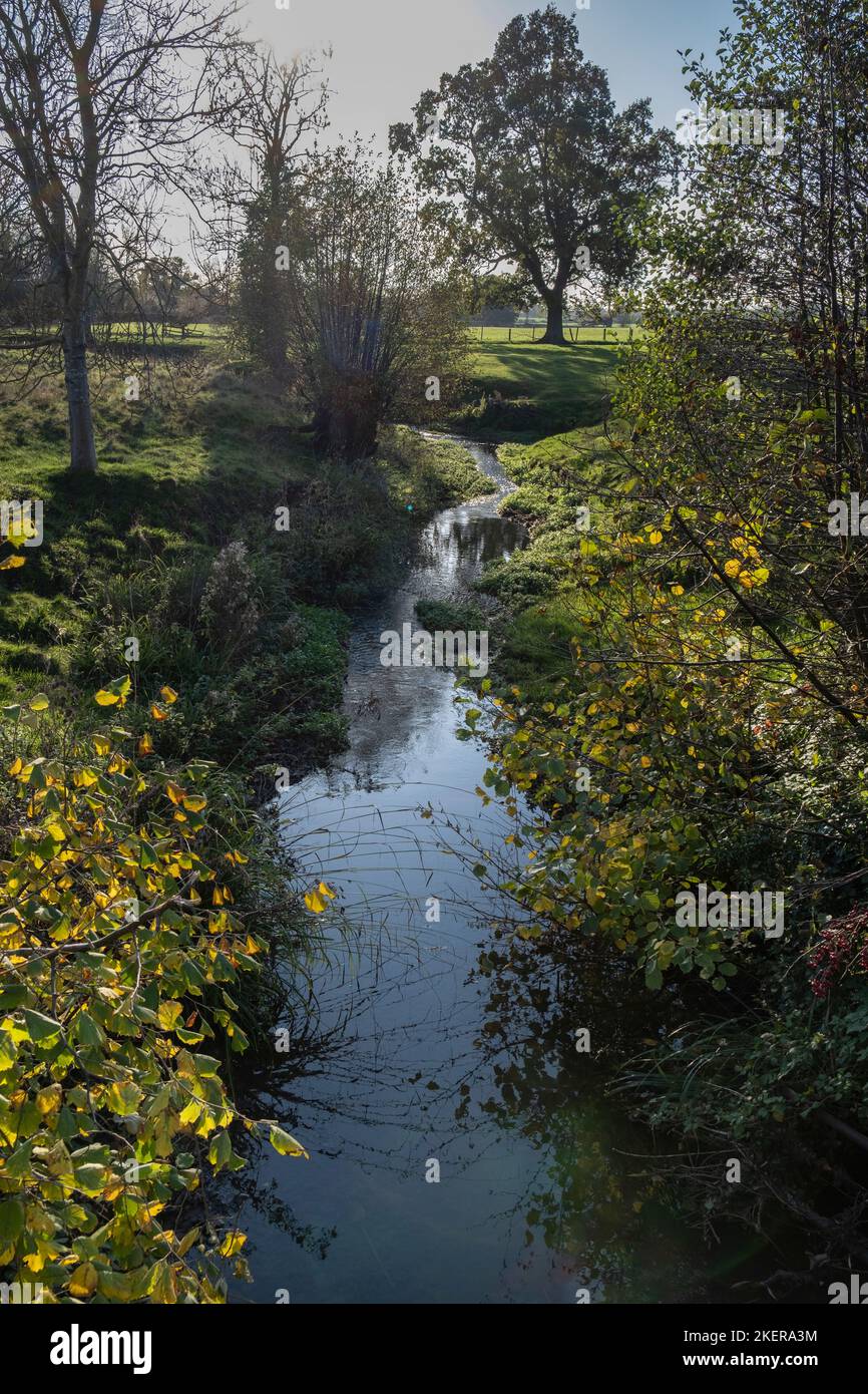 Un piccolo fiume chiamato Swans Brook che attraversa la campagna in autunno, Worcestershire, Inghilterra. Foto Stock