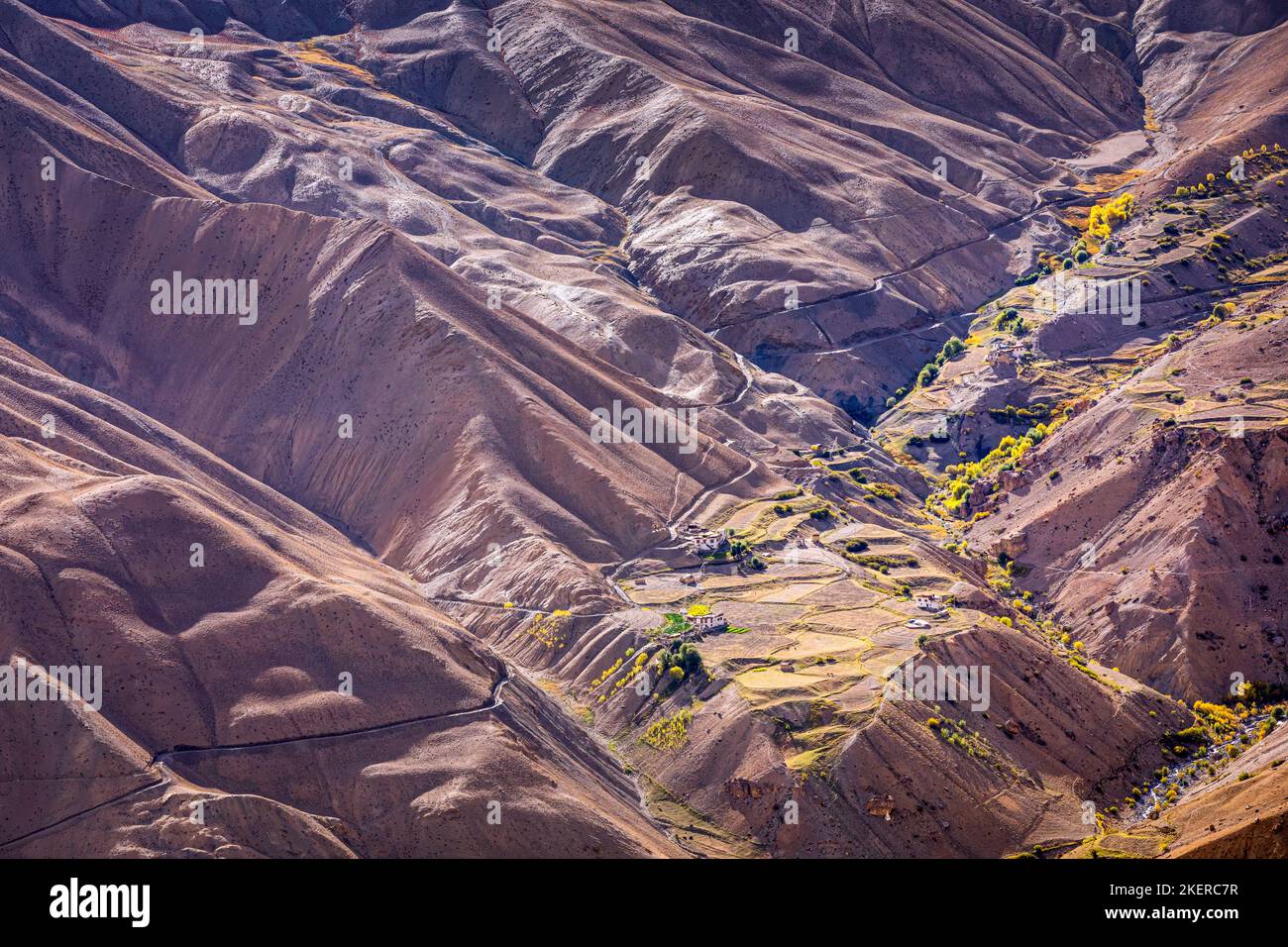 Arido paesaggio himalayano con piccoli campi coltivati vicino a Lingshed, Ladakh, India Foto Stock