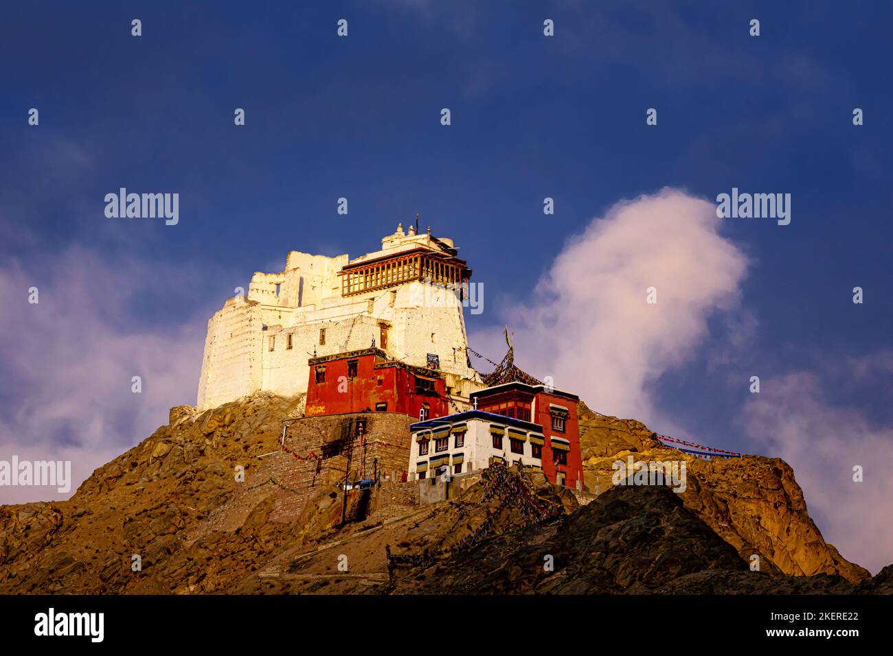 Nangyal Tsemo Gompa (Monastero), Leh, Ladakh, India Foto Stock