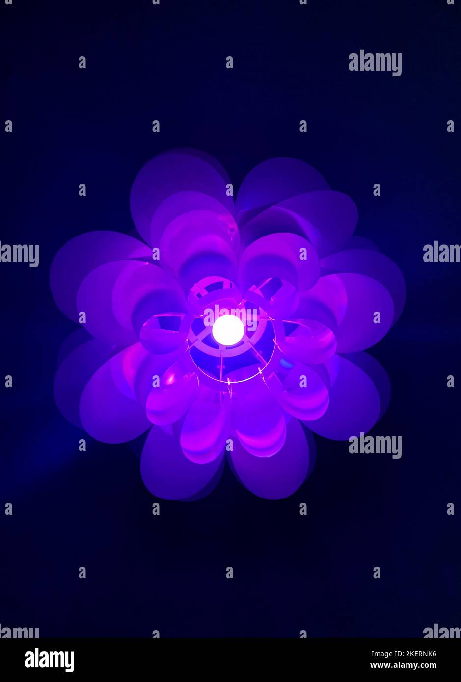 Lampadario floreale che si illumina di luce viola elettrica al buio Foto Stock