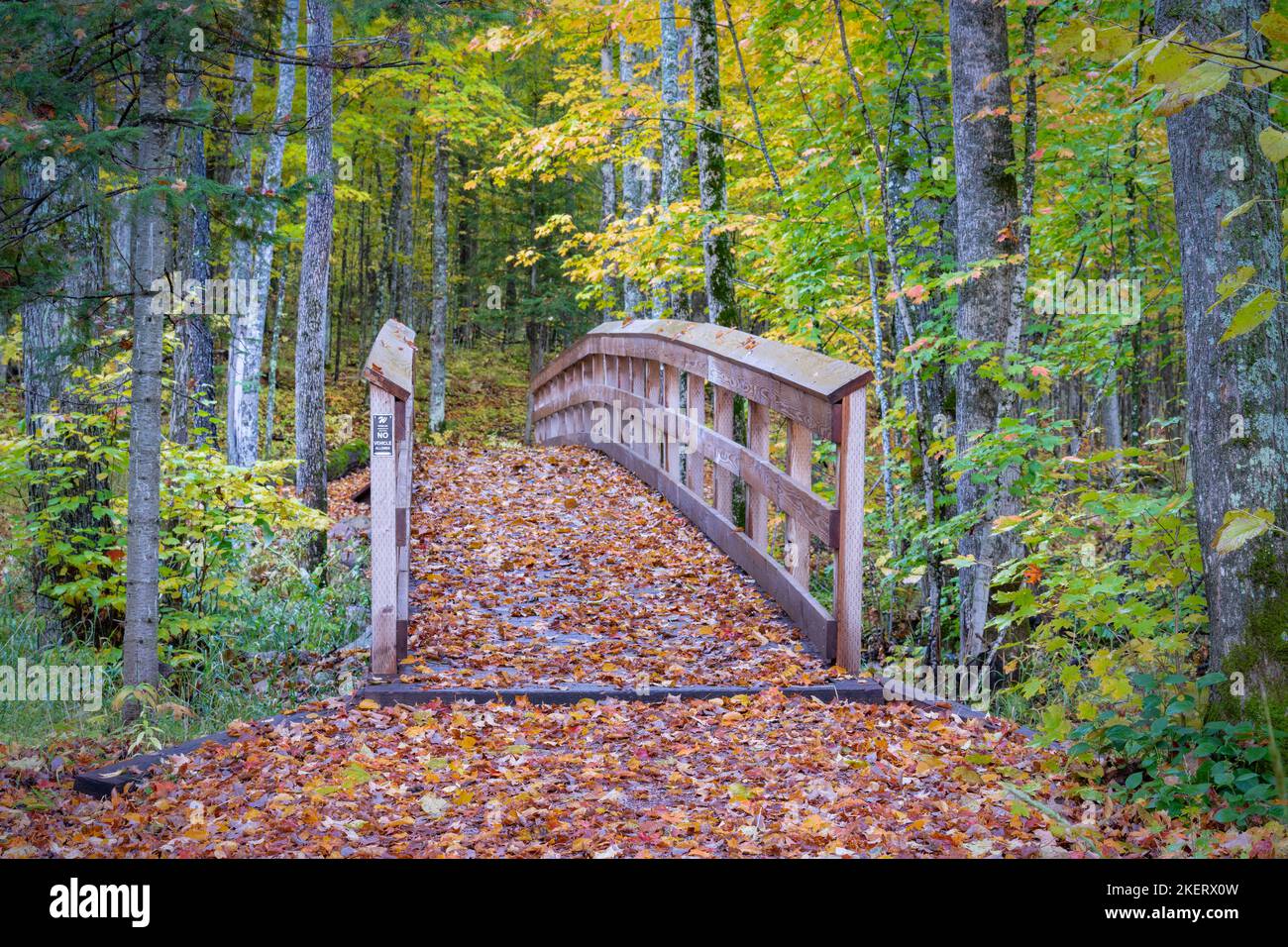 I sentieri escursionistici nella zona ricreativa di Saint Peters Dome nella foresta nazionale di Chequamegon-Nicolet nel Wisconsin settentrionale prendono vita con i colori. Foto Stock